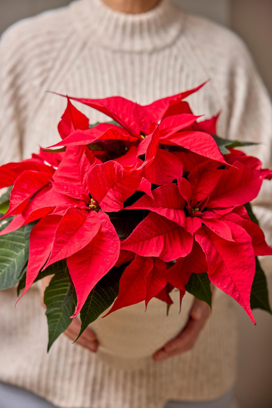 ��������� � ������� ������